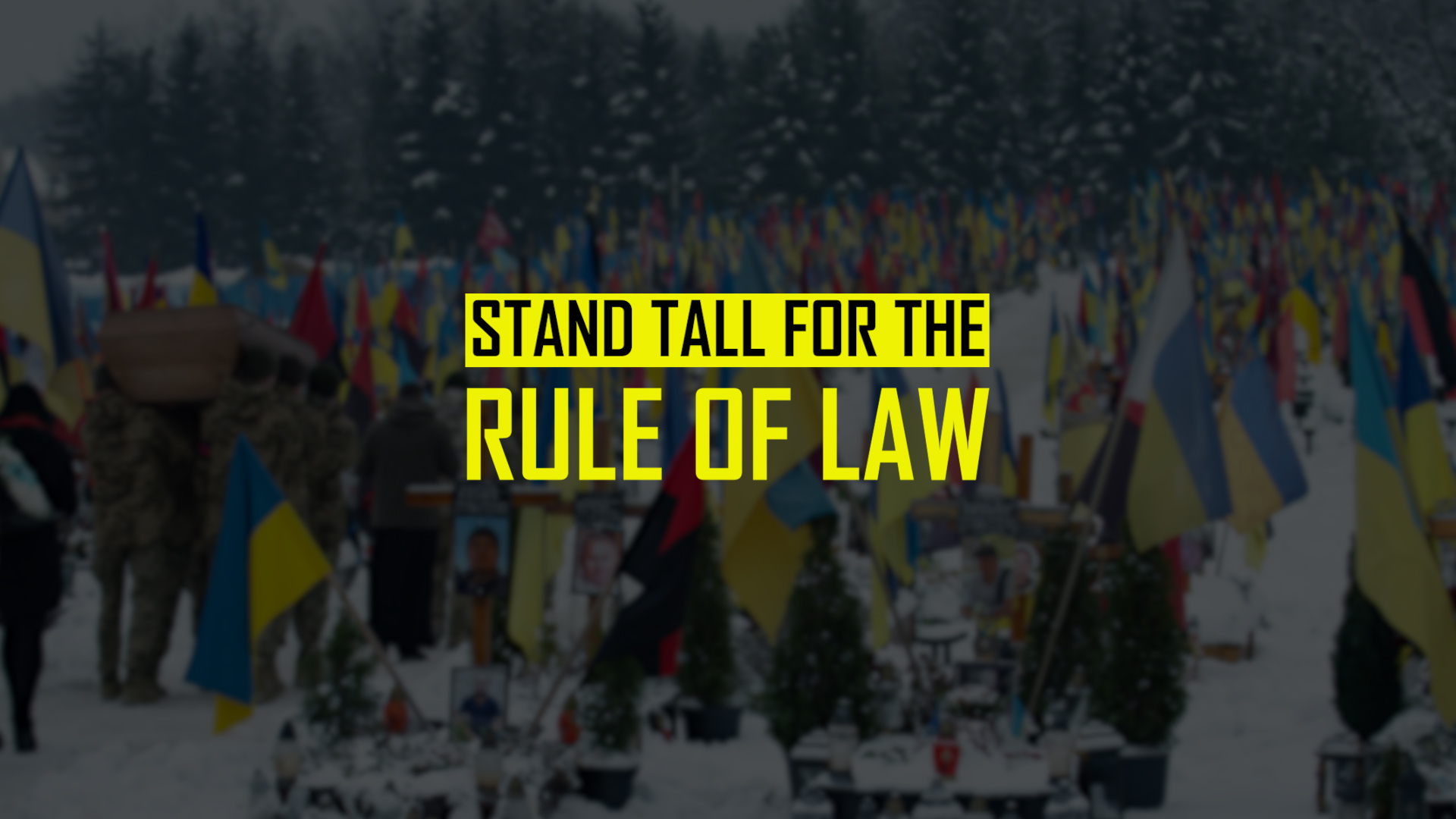 Stand Tall for the Rule of Law